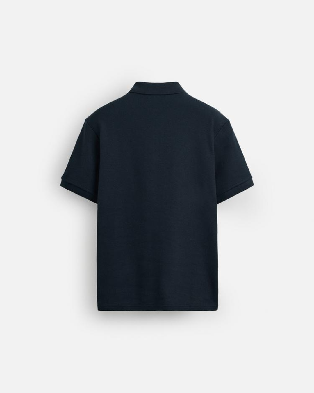 Raypunk Zip Polo