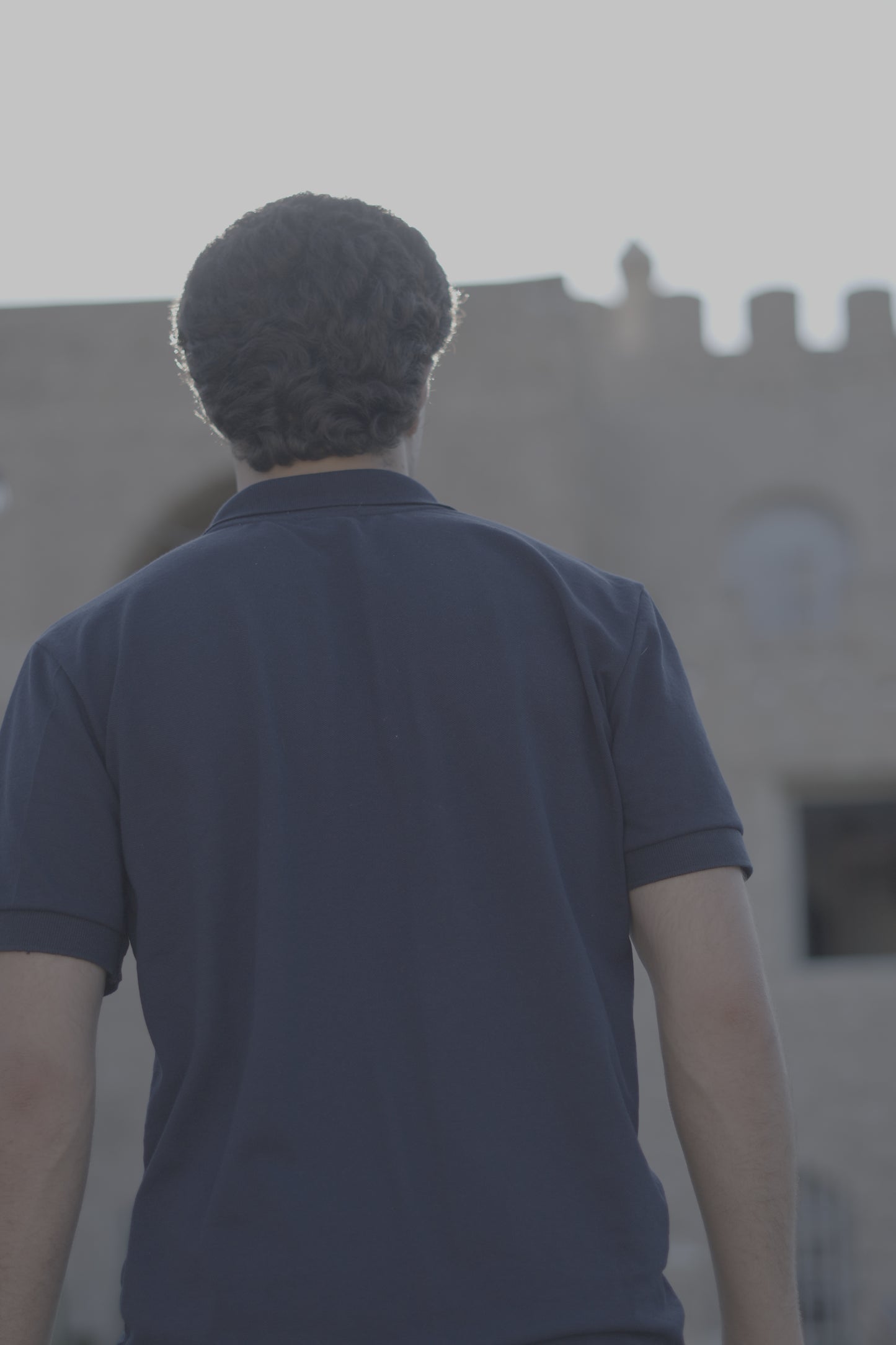 Raypunk Zip Polo